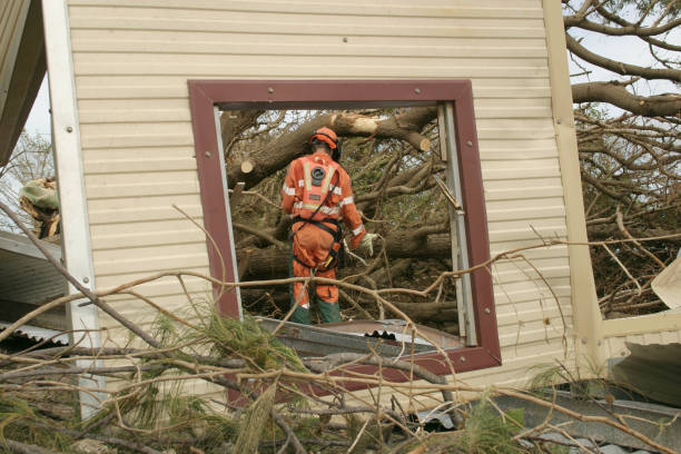 Best Storm Damage Tree Cleanup  in Southern View, IL